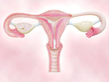 La calidad ovocitaria